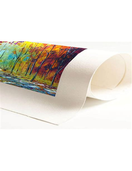 Bobina plotter canvas